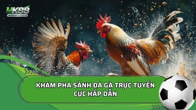 Giao diện đá gà UK88 hiển thị trận đấu, tỷ lệ cược và thời gian đặt kèo